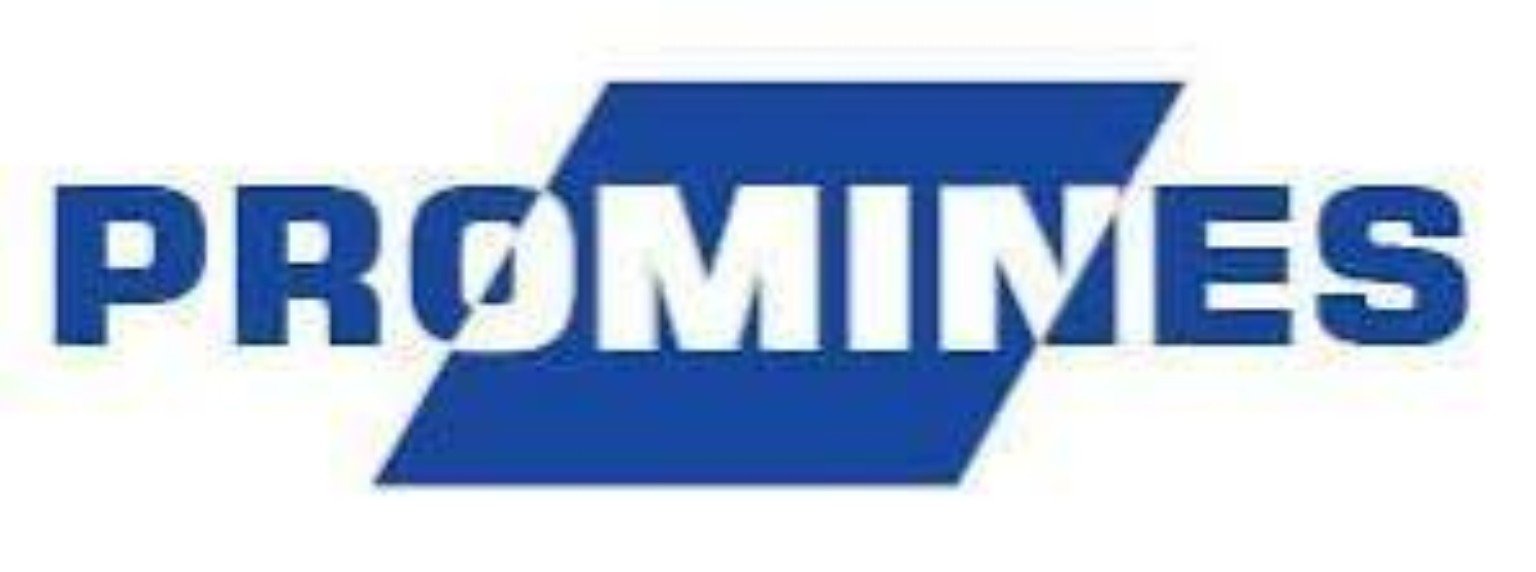 Logo PROMINES